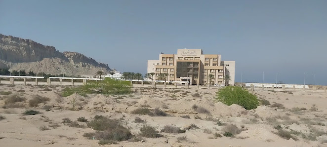دانشگاه