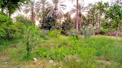 خانه بهداشت