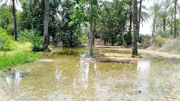 خانه بهداشت
