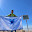 کانکس پلیسراه