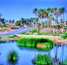 مسجد