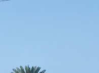 شهرداری هرمز
