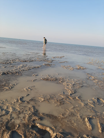 بانک صادرات